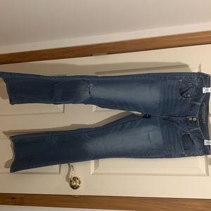 AE Artist 12L